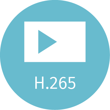 H.265