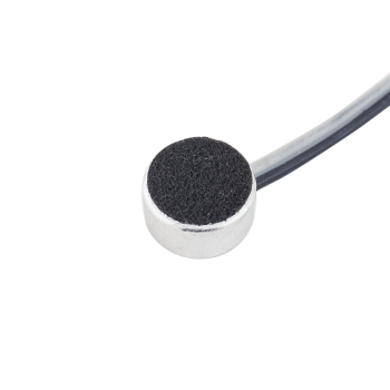 DP microphone module