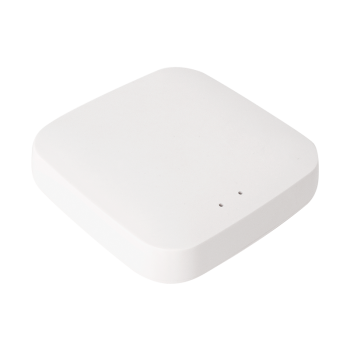 WiFi Gateway  for TUYA bluetooth items 