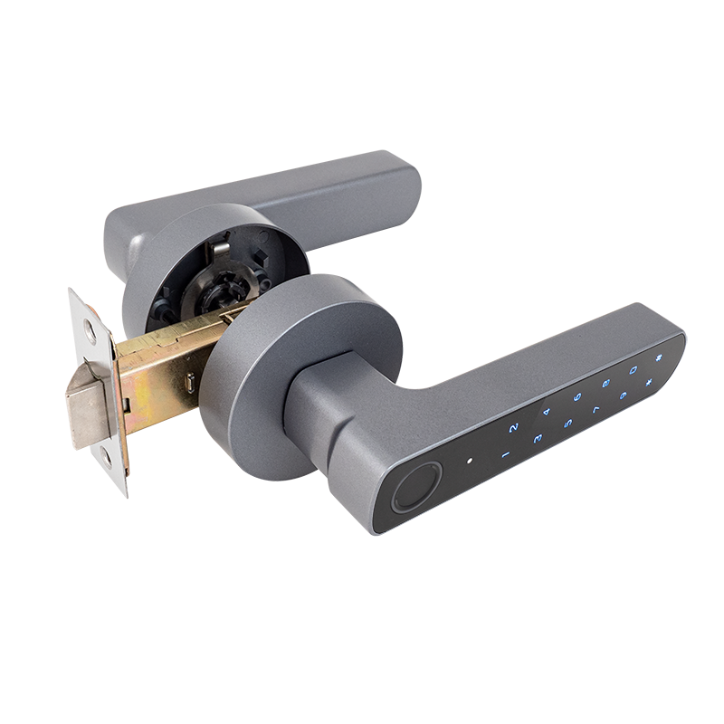 Biometric smart handle lock - BLE - APP - grey