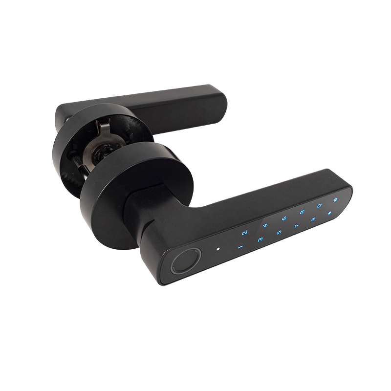 Biometric smart handle lock - BLE - APP - black