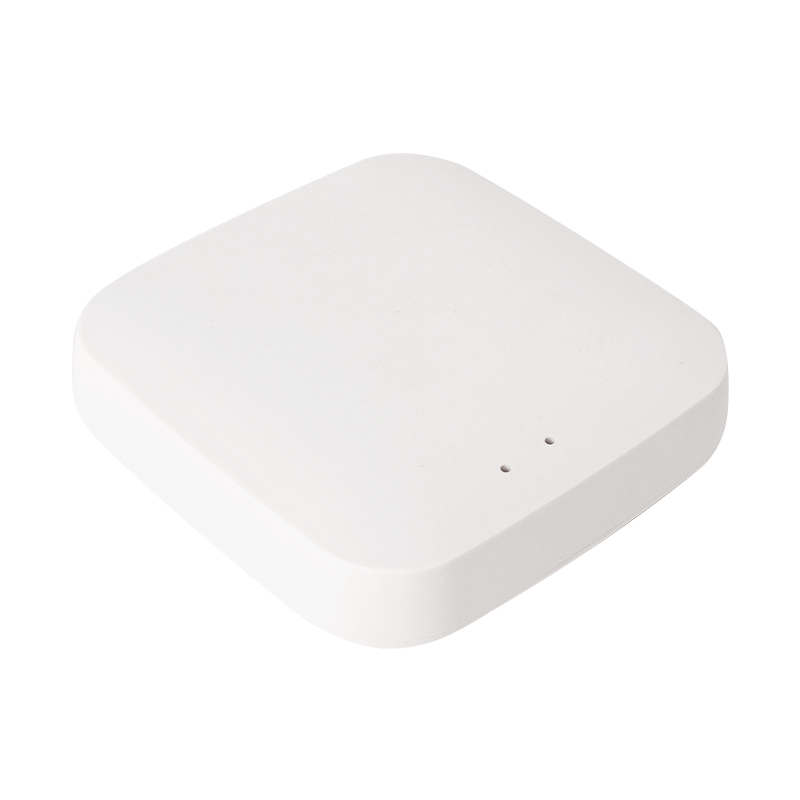 WiFi Gateway  for TUYA bluetooth items 